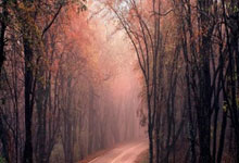 c7娱乐体育:中国U15男足法国拉练取得2胜2负战绩新华网.