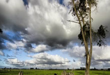 北青体育：国足补招吴少聪、黄政宇，蒋光太离队将缺战澳大利亚.