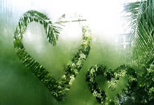 崔永熙完成手术逐步进入康复期北京青年报.