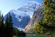 c7娱乐体育：养伤175天！巴萨32岁门神梦想：欧冠决赛复出，.